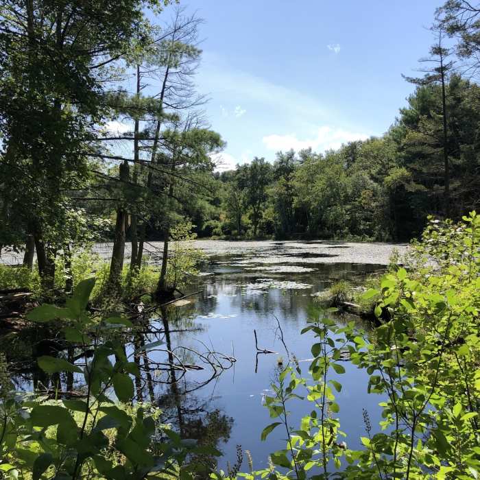 Near Blue Trail