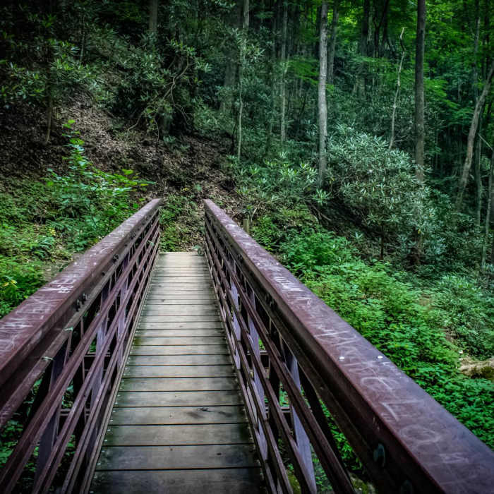 Near Margarette Falls