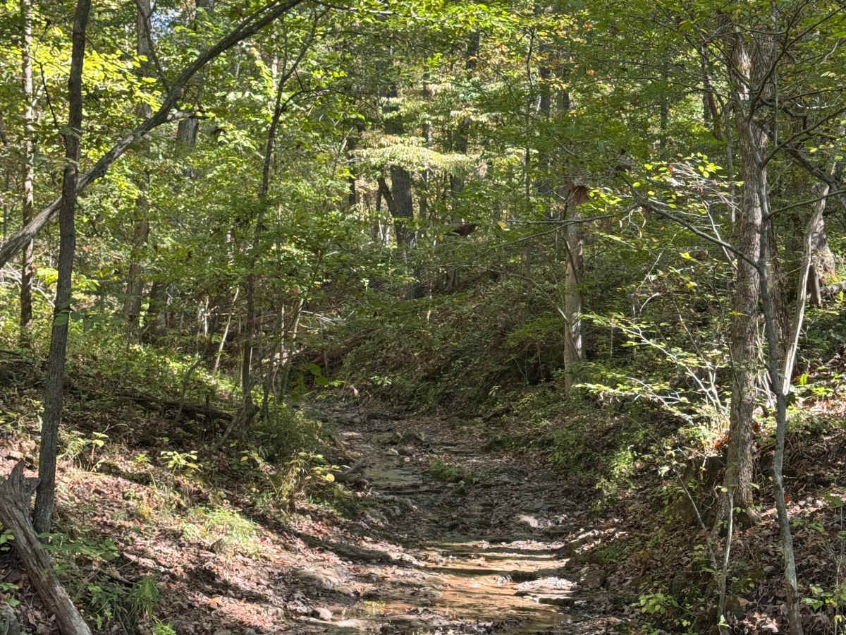 Waterfall Run photo 3