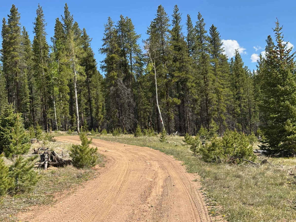 Cake Ridge Spur Road photo 2
