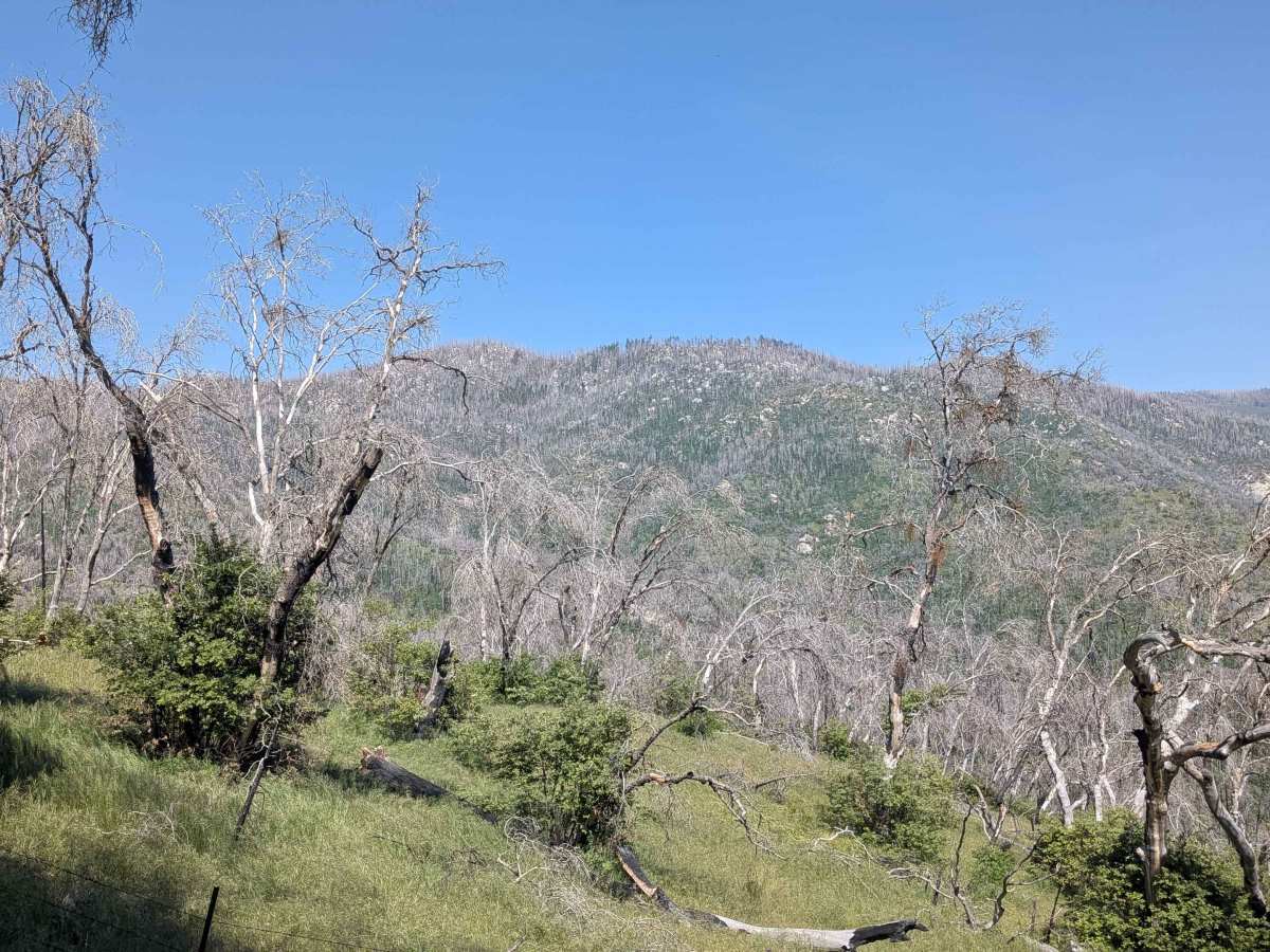 Starvation Creek - FS 23S65 photo 6