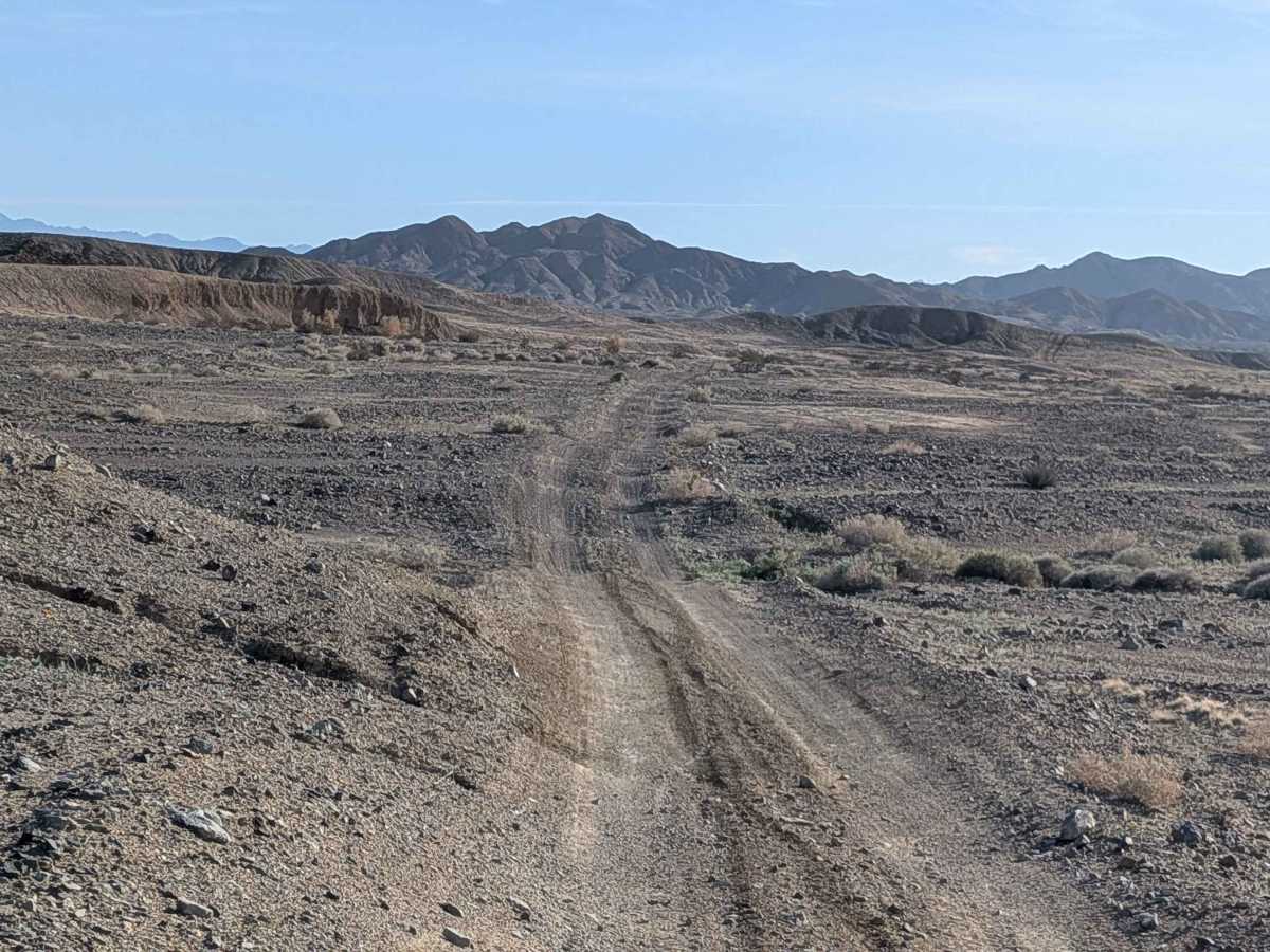 BLM 236 photo 5