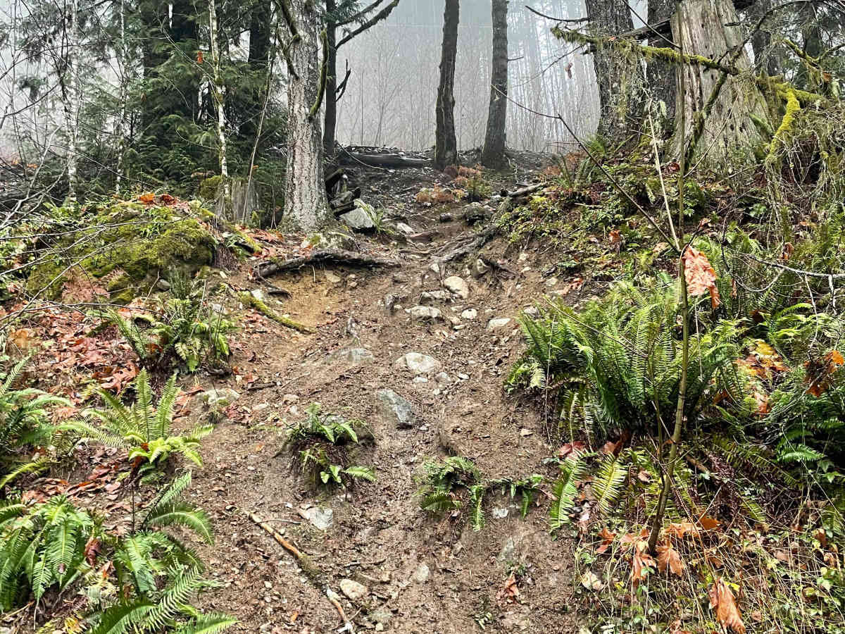 Catnap trail photo