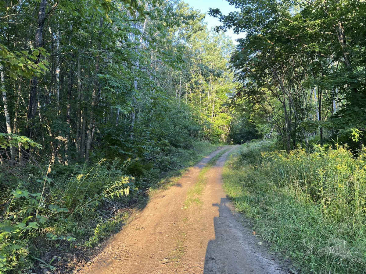 Forest County ATV/SXS 8 Mile Loop Trail 3 photo 2