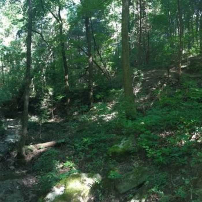 Near Limestone Gorge Trail