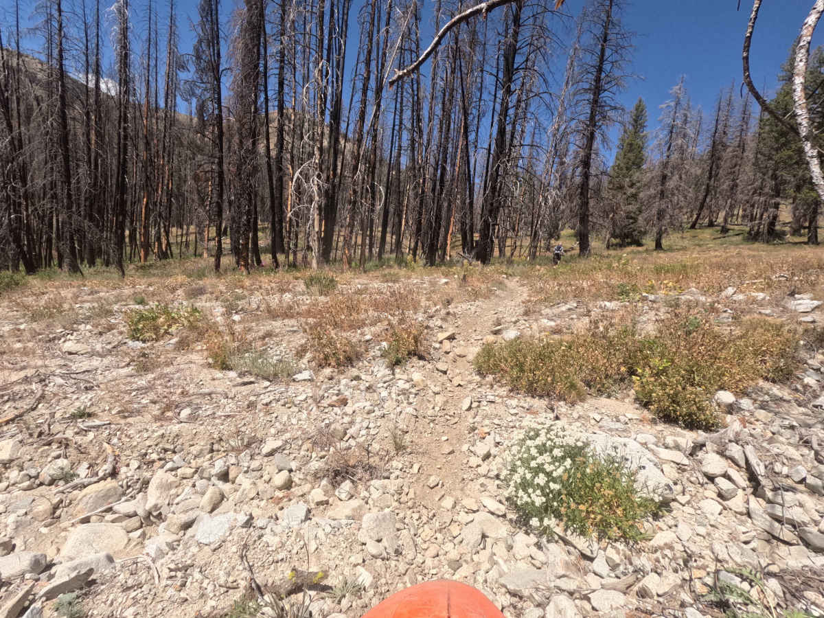 Johnson Creek - FS 7181 photo 3