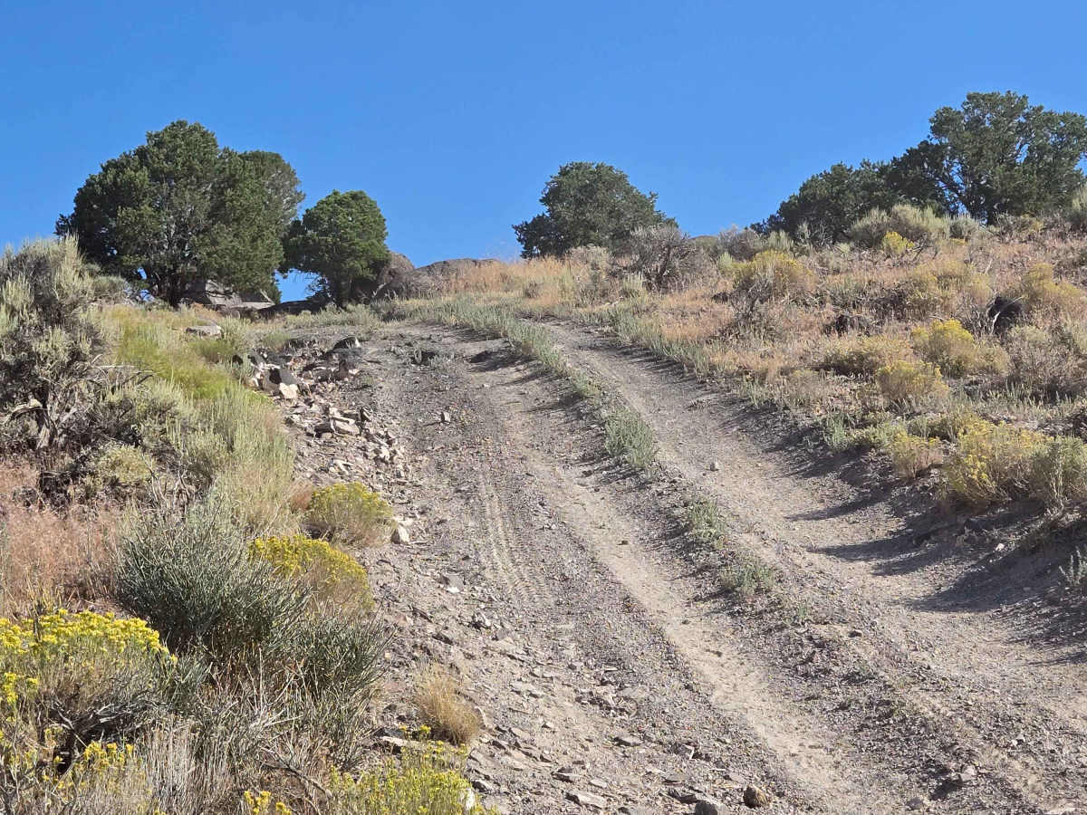 Hill Hopper photo 3