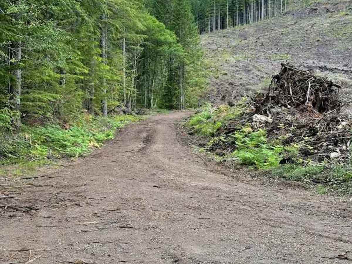 Dandy Pass - FS 5080 trail photo
