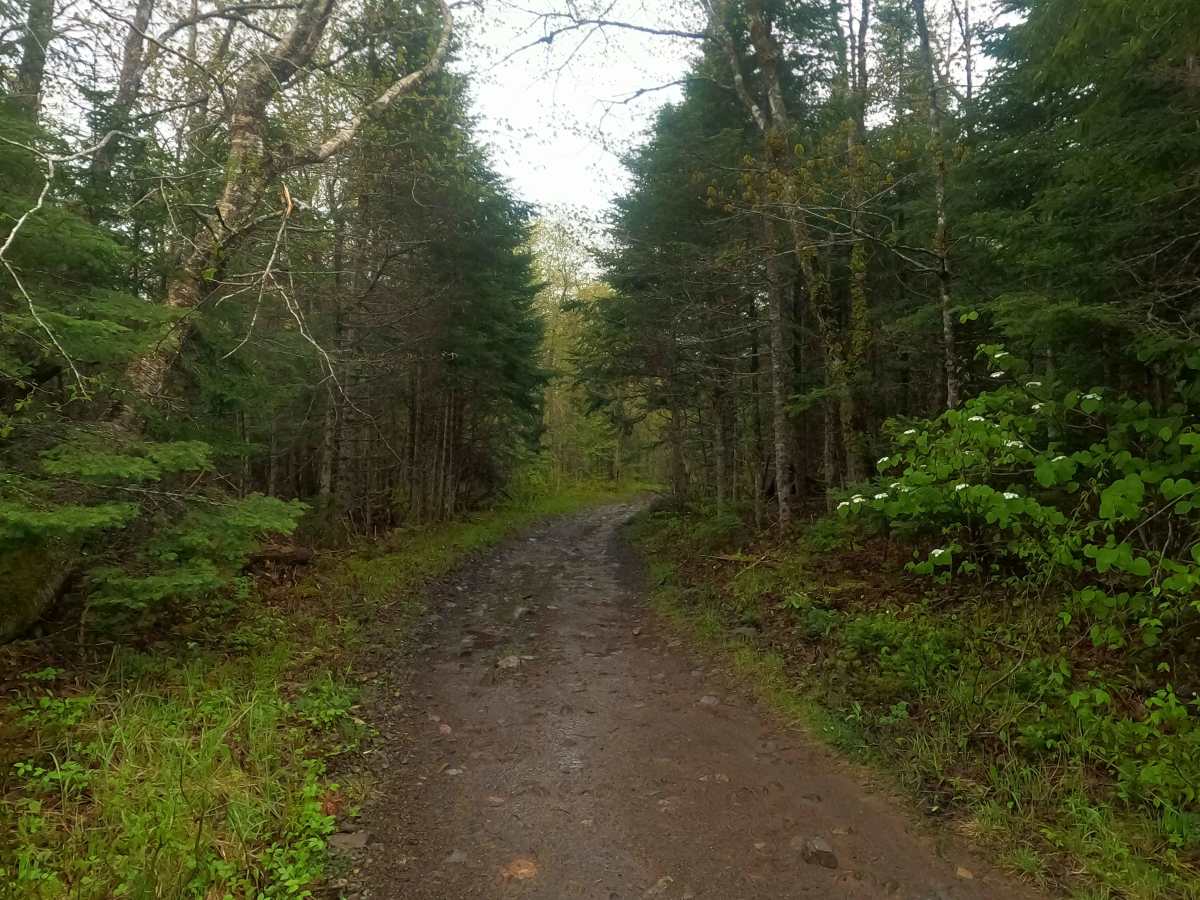 Farm Lake Trail photo 3
