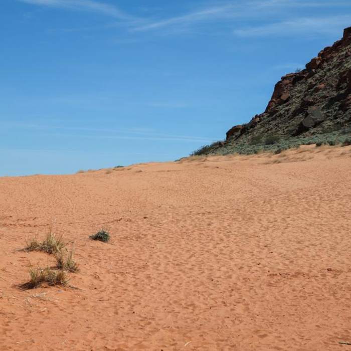 Near Sand Dunes Near Sand Dunes