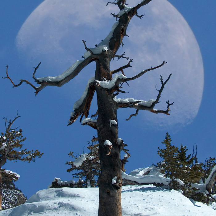 Near Andrews Glacier