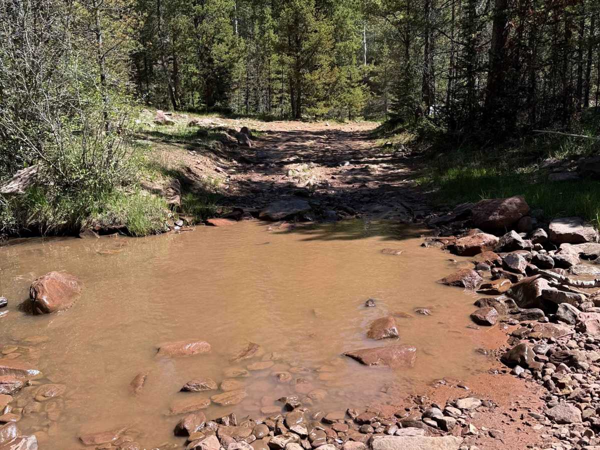 Anderson Creek photo 4