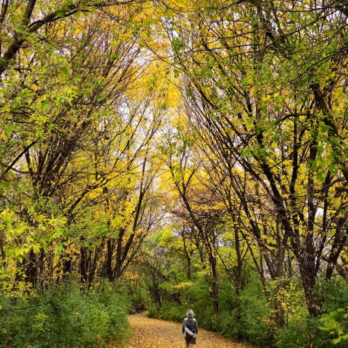 On the trail along the east side of the Youth Fishing Pond. Near Hogback Ridge Trail
