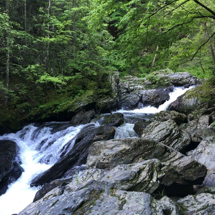 Near Mahican--Mohawk Trail Section 1: Deerfield to Shelburne Falls