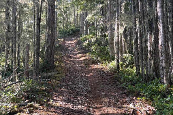 The switchbacks