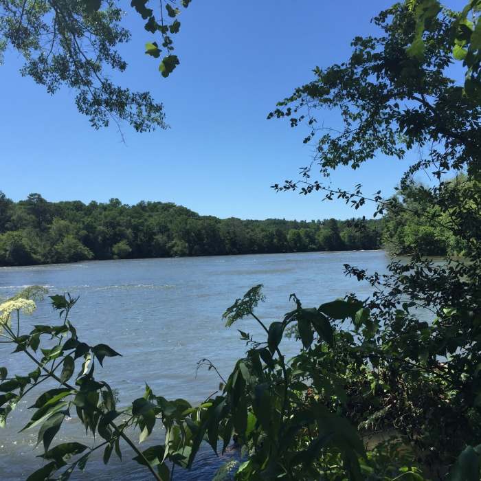 View of the river from the trail. Near Powers Island Loop