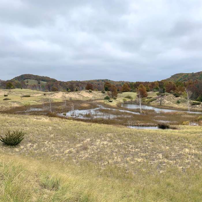Near Saugatuck Harbor Natural Area