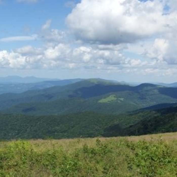 Roan Mountain (Round Bald) Panorama. Near AT: Carver's Gap to US19E