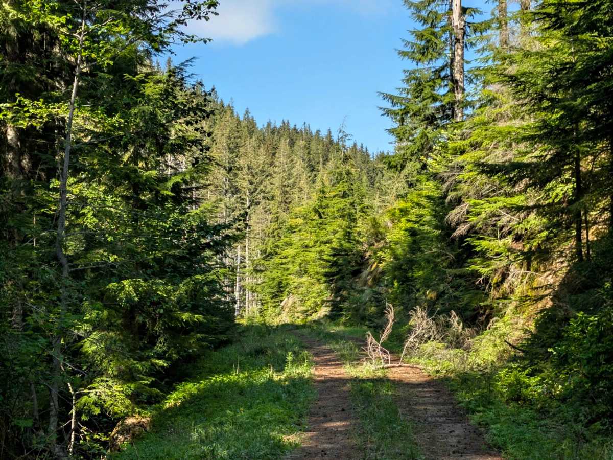 Little Creek photo 5