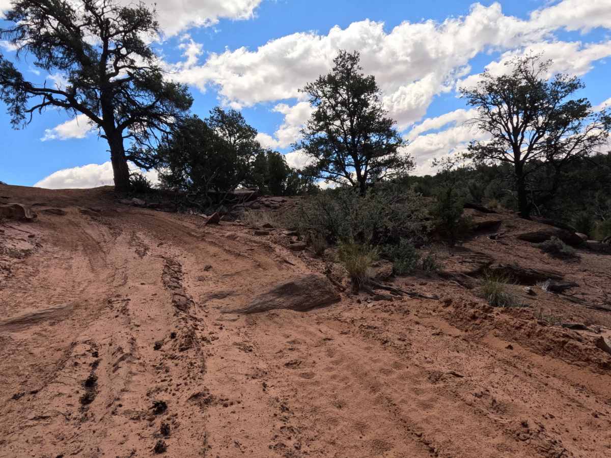 BLM 101J photo 5