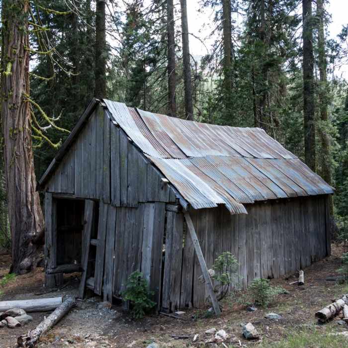 Near Horseshoe + Ward Lakes via Swift Creek Trail