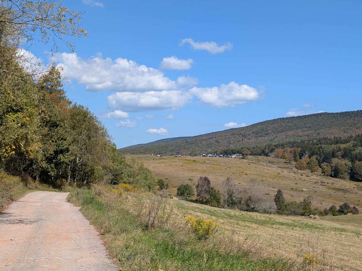 Owl Knob Hollow Connector trail photo