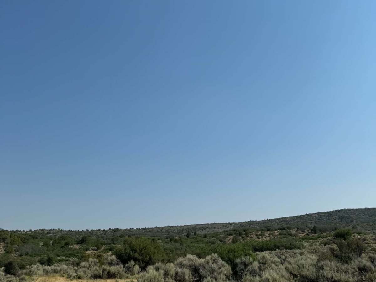 Rifle West photo 2