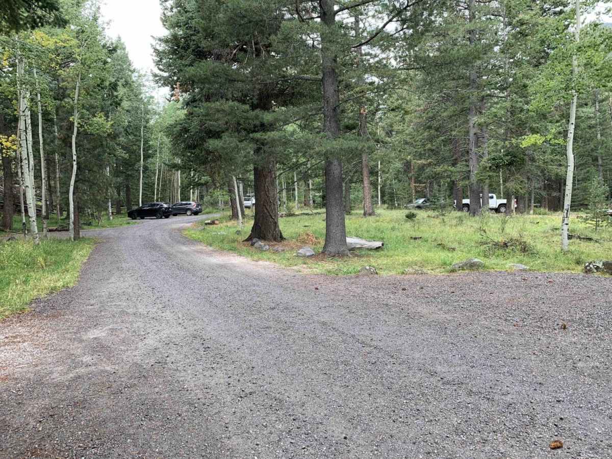 Lockett Meadow Trail photo 6