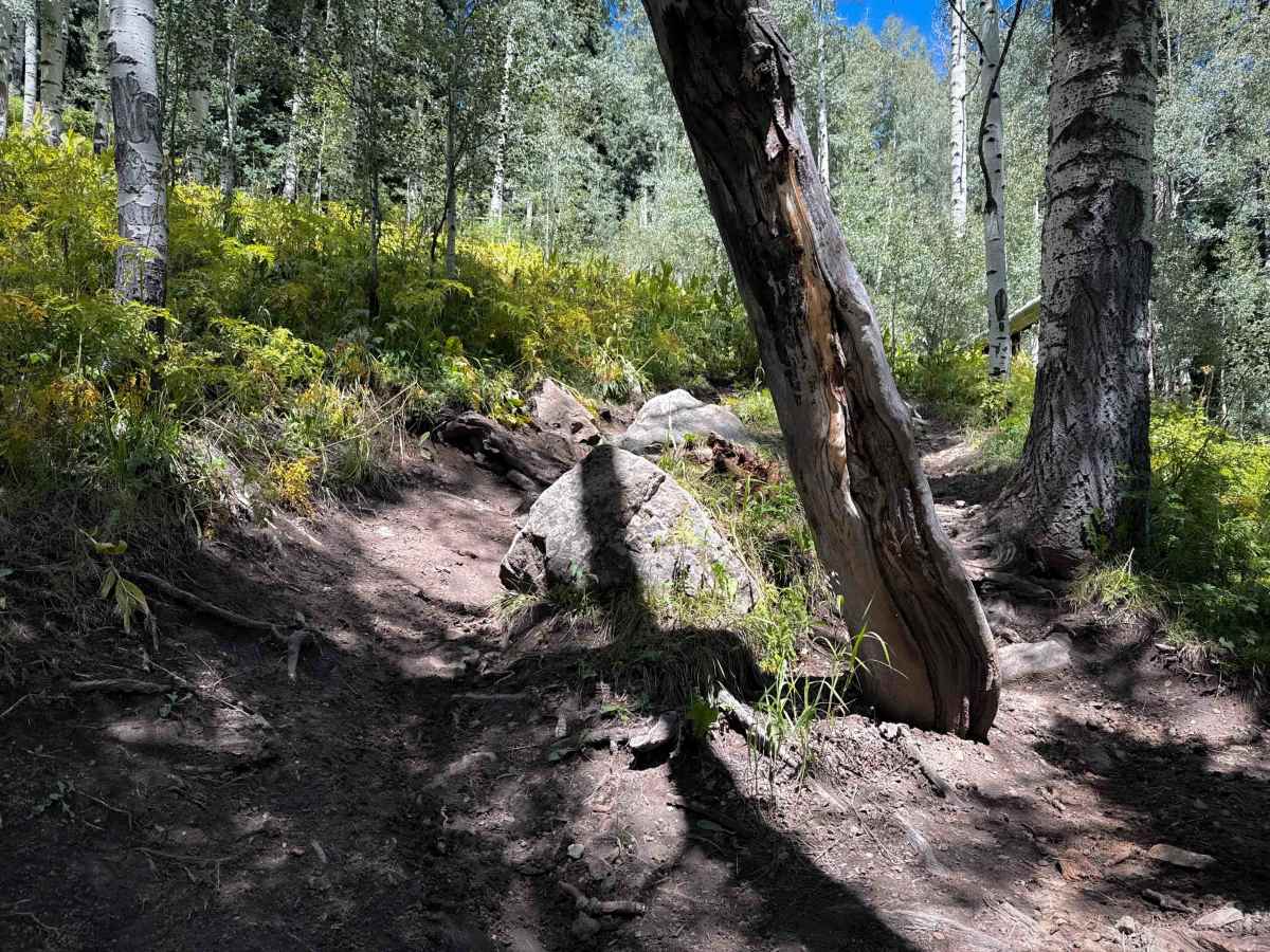 Priest Gulch - Trail 645  photo 3