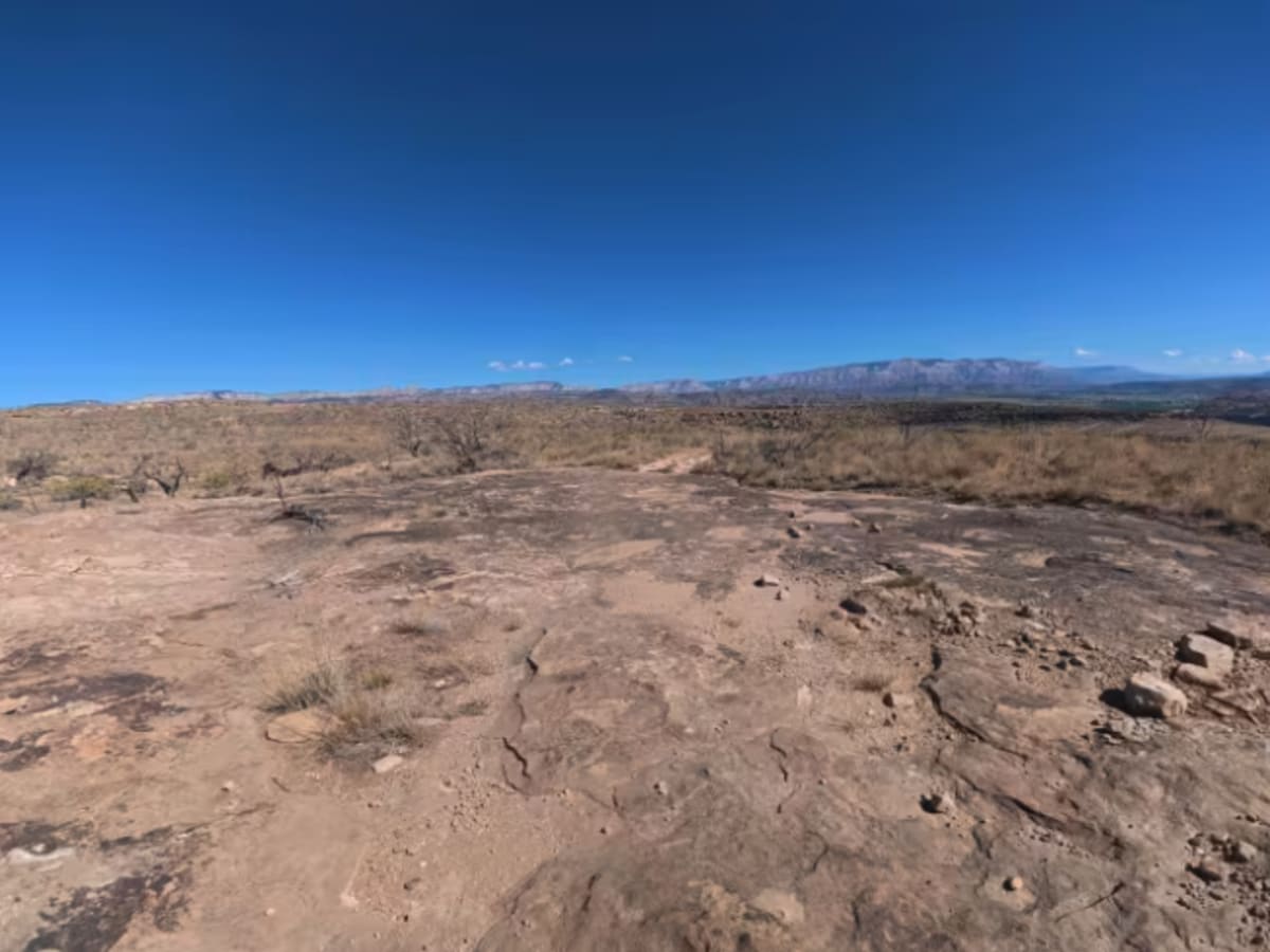 BLM 286 photo 4