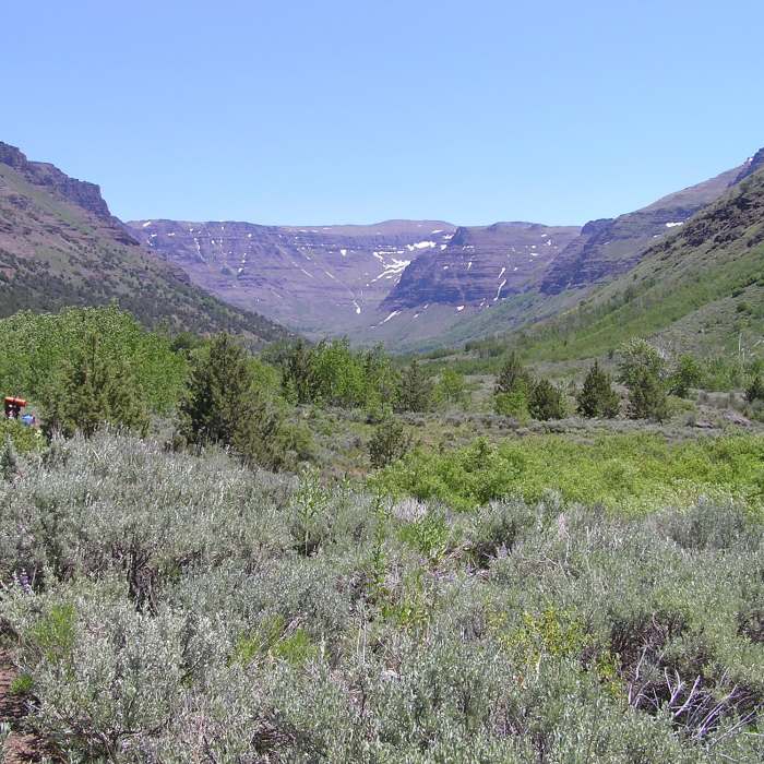 Near Big Indian Gorge Trail