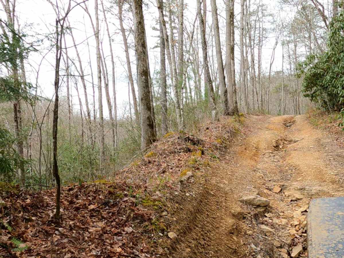 Lake Trail trail photo