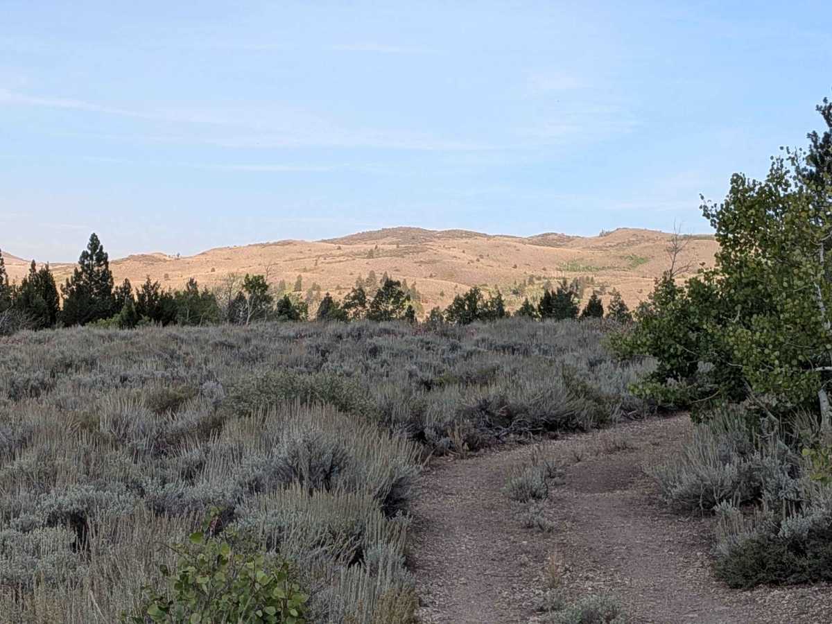 Cow Camp Creek Road photo 3
