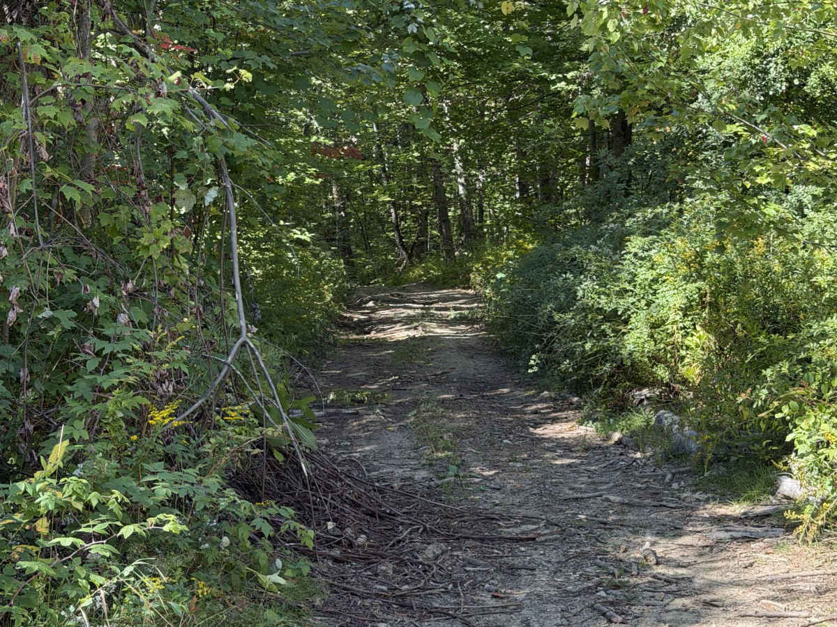 Bartlett Hill Road photo 6