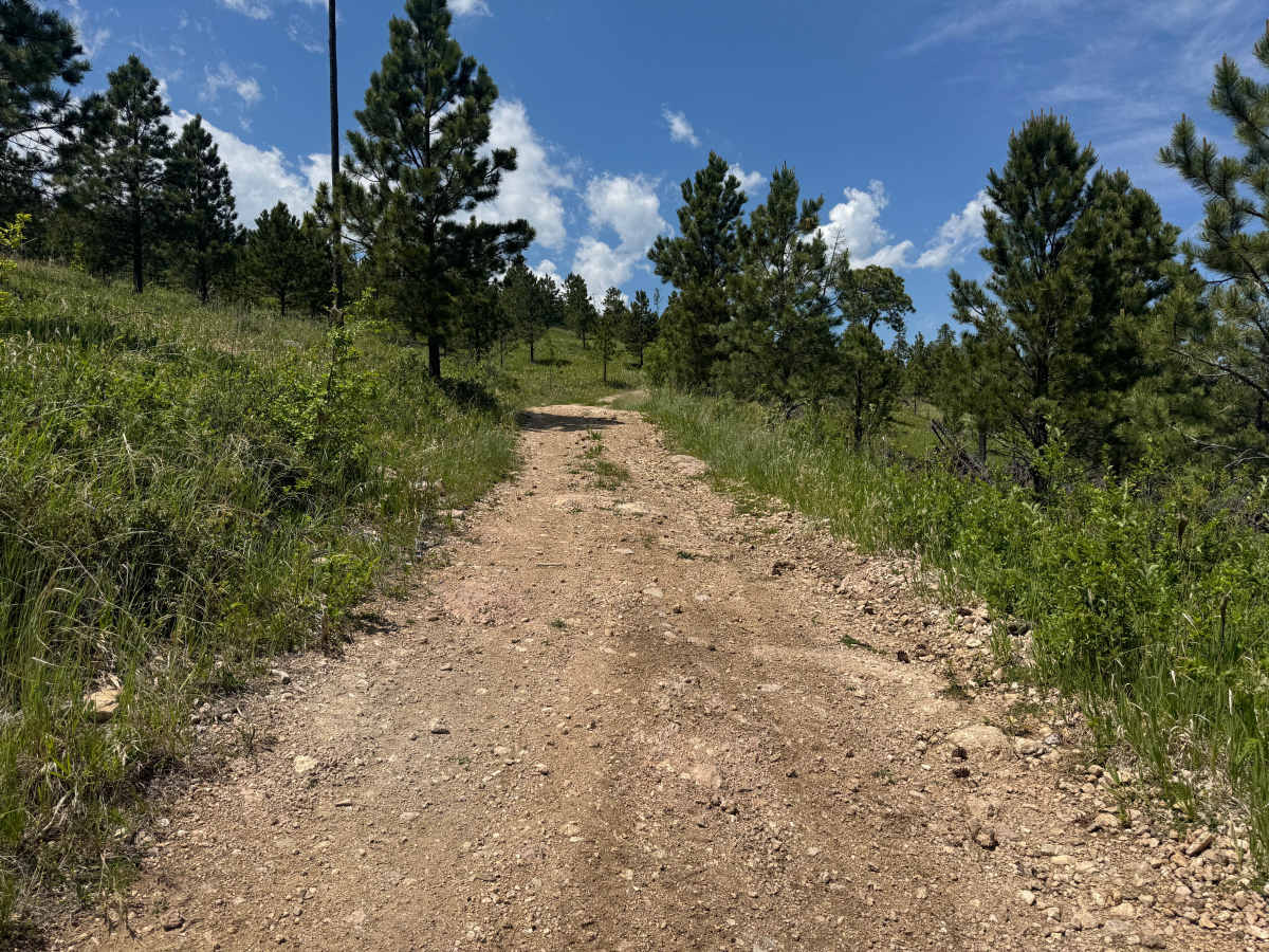 Forbes Gulch Br 1b - FSR 169.1B photo 6