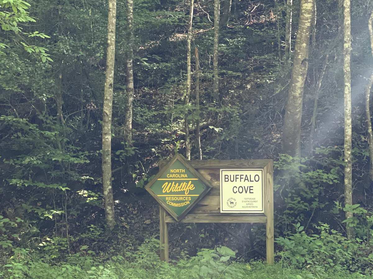 Buffalo Cove Game Lands trail photo