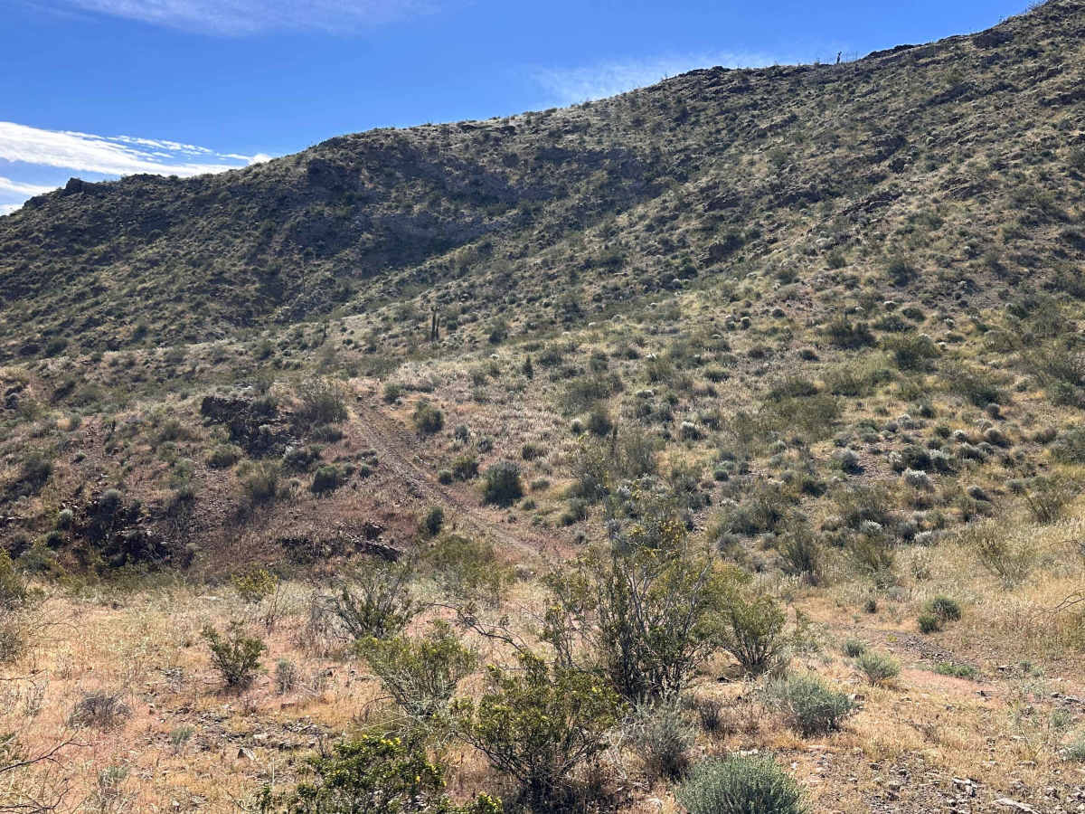 Rimrock Trail photo 5