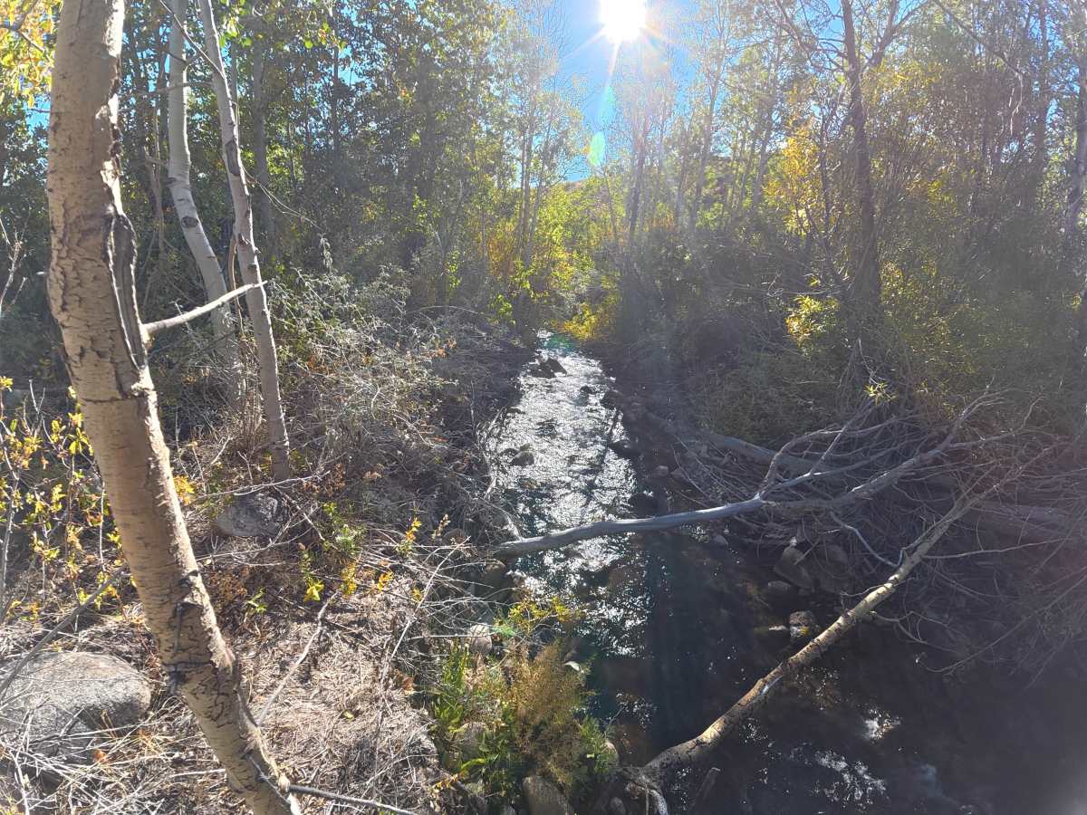 FS 2N14 trail photo