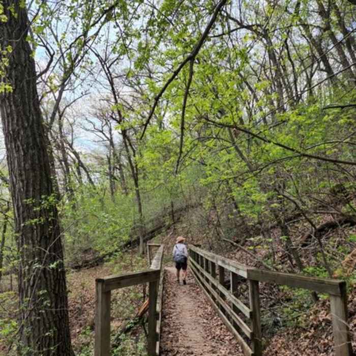 Near Trout Brook Loop