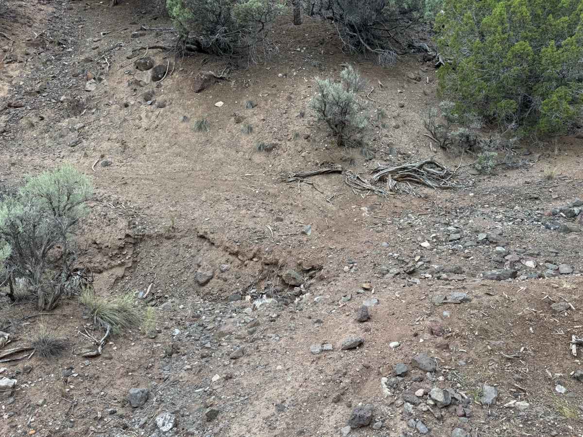 BLM 2722 photo 5