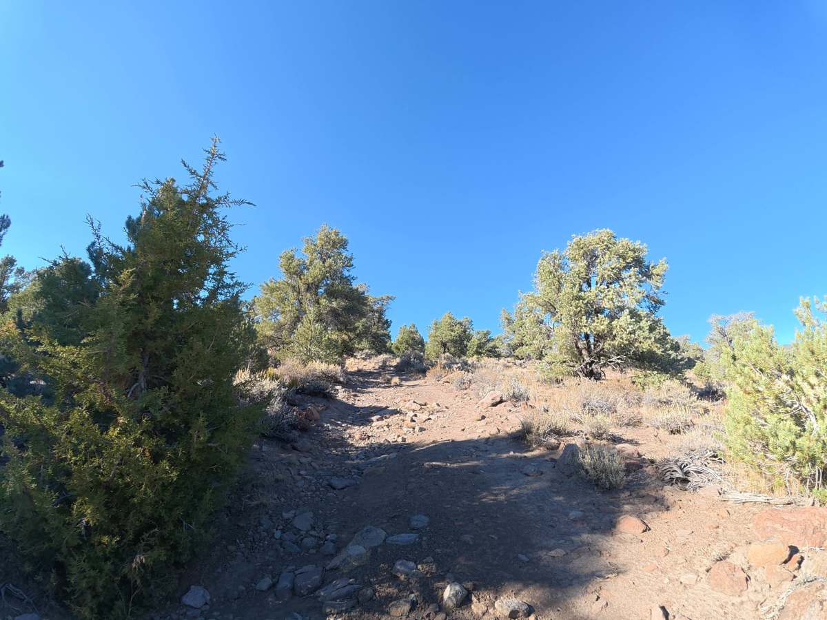 Loop Road K photo 6