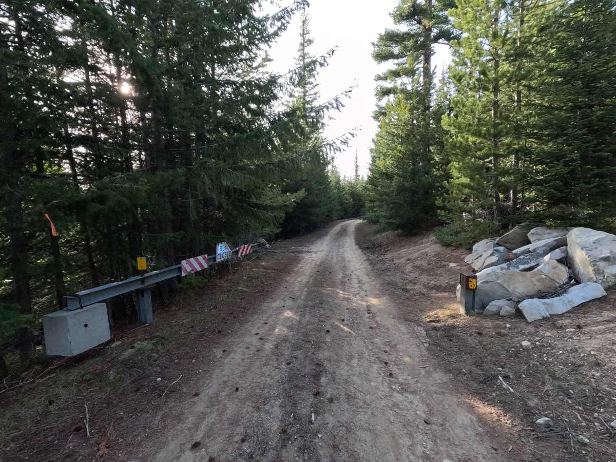 Tyee Ridge Road - FS 57 photo 4