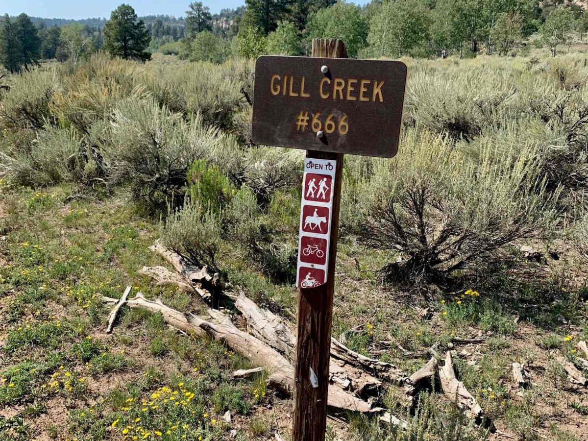 Gill Creek Loop 50" trail photo