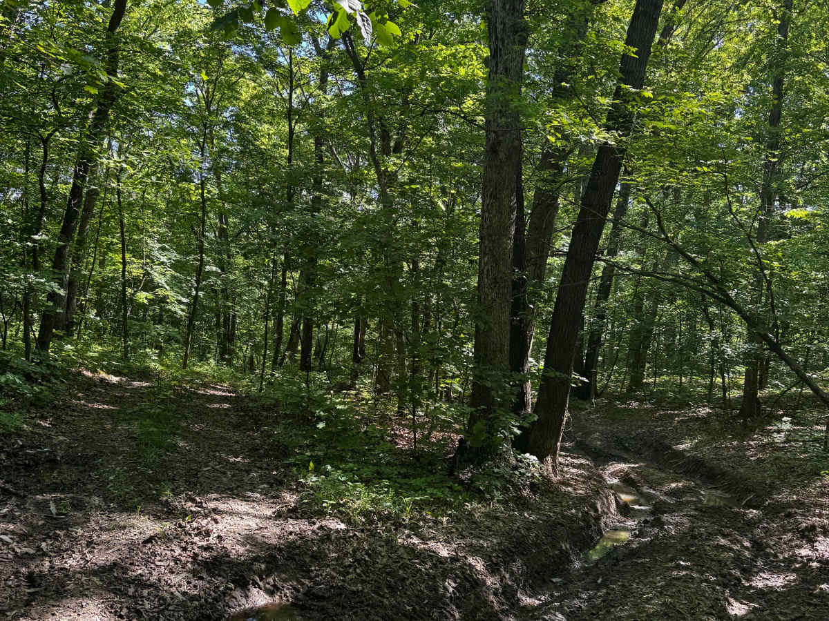 Inner Trail 25 photo 4