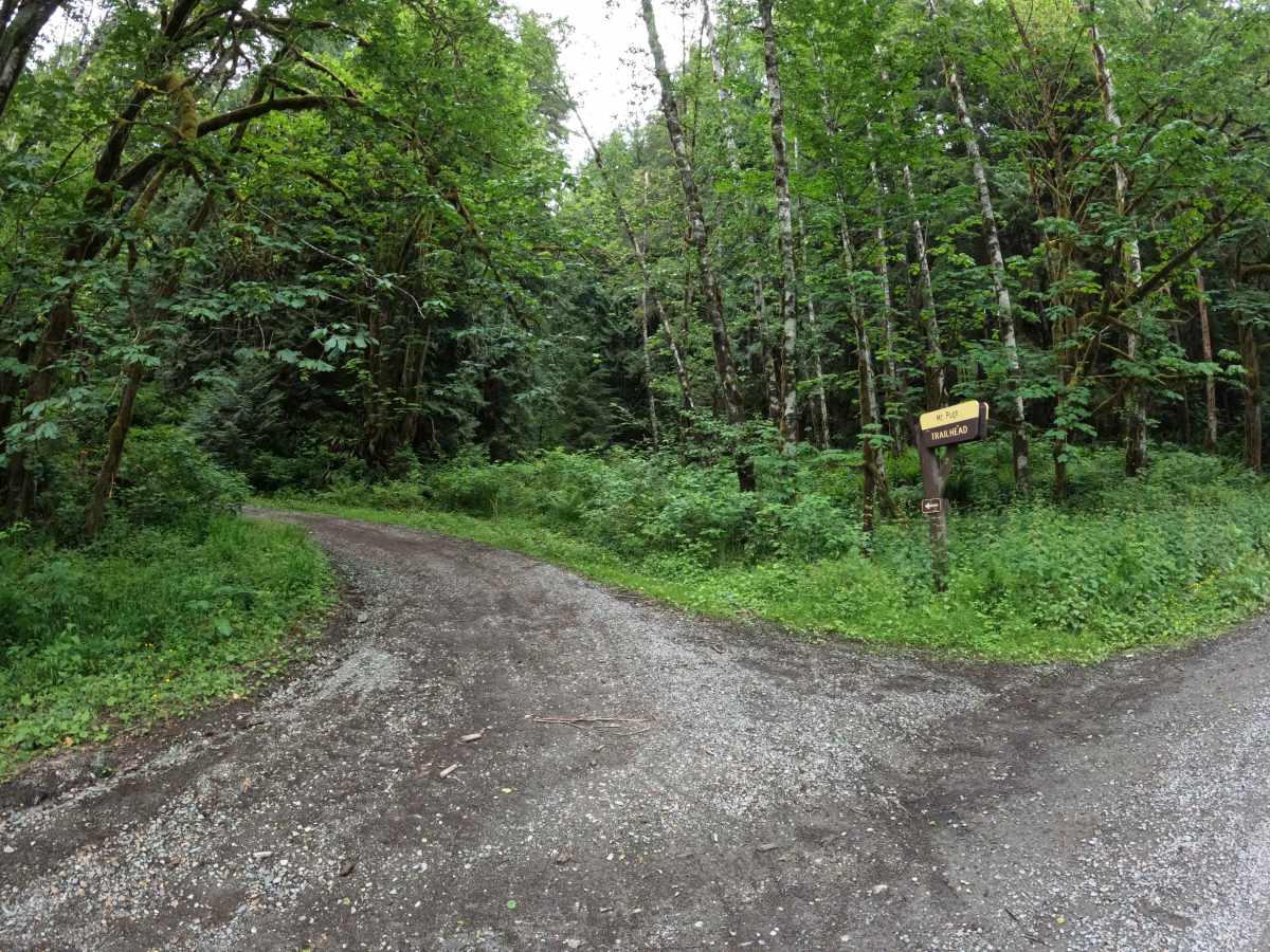 Pugh Mountain - FS 2095 trail photo