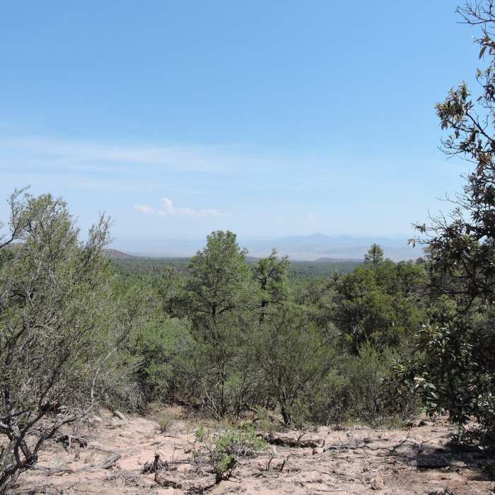A typical vista from the ride. Tree cover obscures some viewpoints. Near Deadman Canyon Trail
