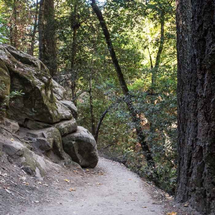 Near Saratoga Gap, Ridge Trail + Castle Rock Loop Hike