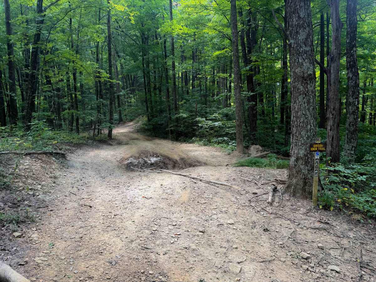 Gibson Knob Trail 15   trail photo
