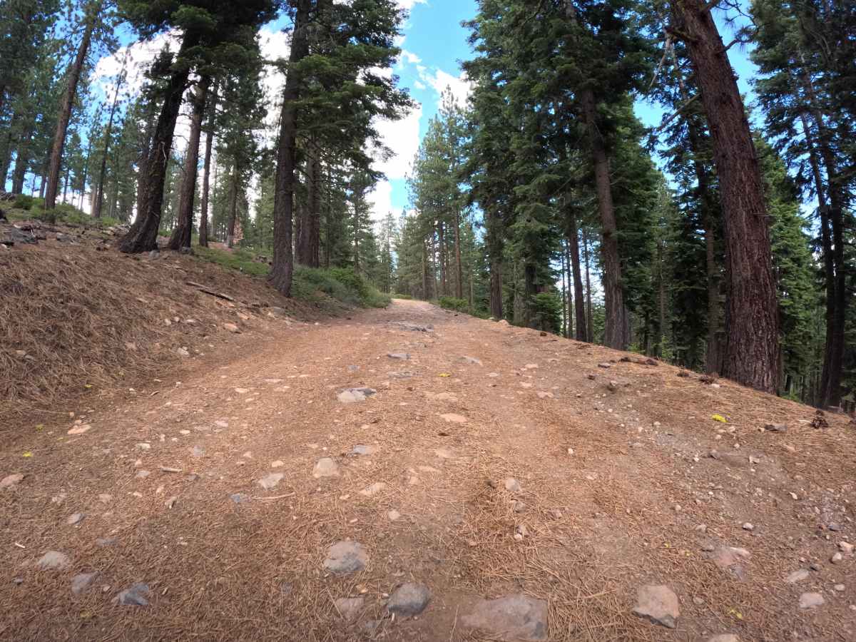 Carnelian Road - FS 16N63 photo 6