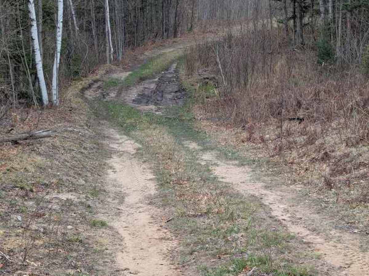 Hawk Trail photo 5